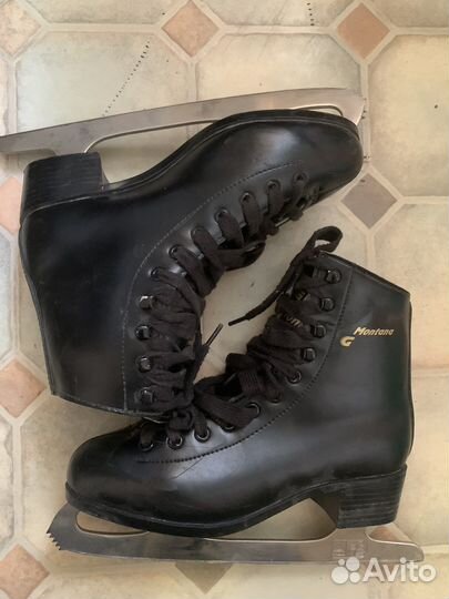 Коньки montana