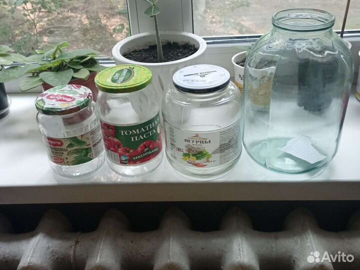 Банки стекляные