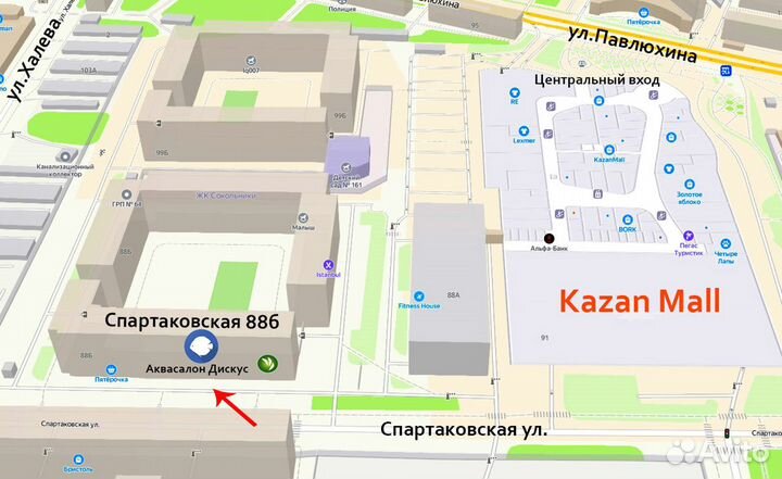 Рак мексиканский оранж карликовый