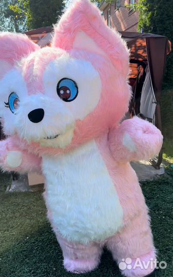 Мишка Белый поздравление и друзья