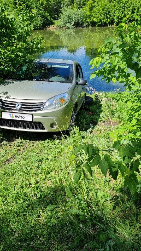 Renault Sandero: фото владельца