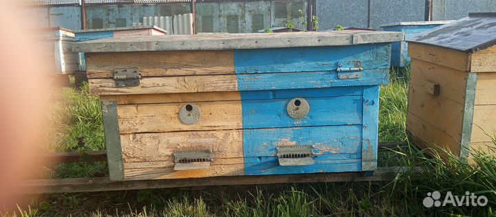 Продам ульи для пчел