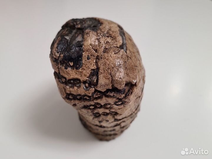 Зуб мамонта под стабилизацию