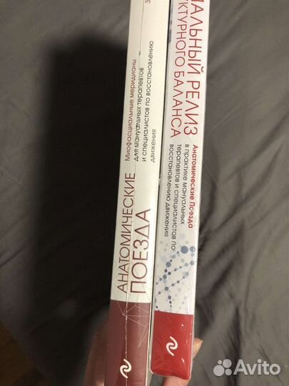 Анатомические поезда, Миофасциальный релиз, Майерс