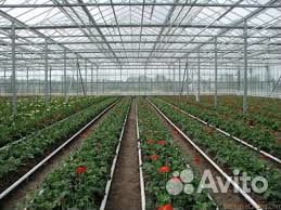 Расчет и монтаж отопления в теплицах и помещениях