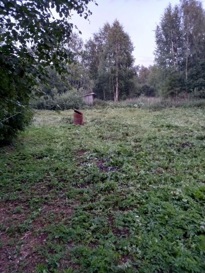 Участок 6 сот. (СНТ, ДНП)