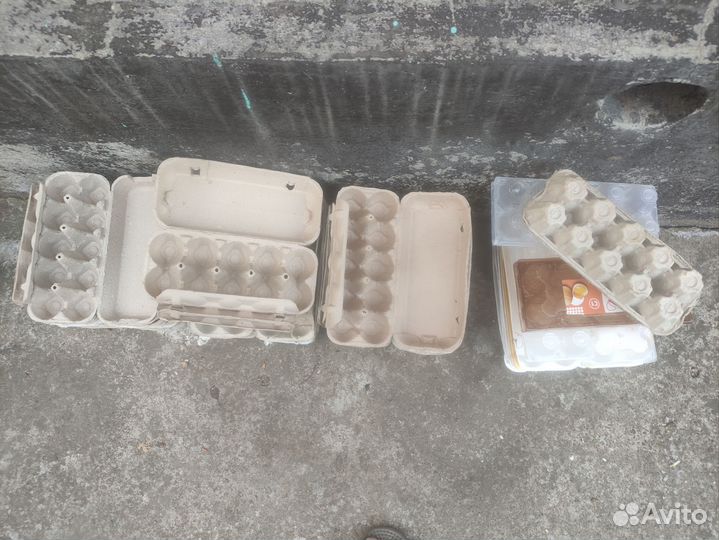 Лотки для яиц