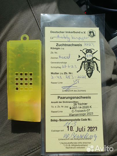 Пчёлы Ф1 с ульями + 2 магазина
