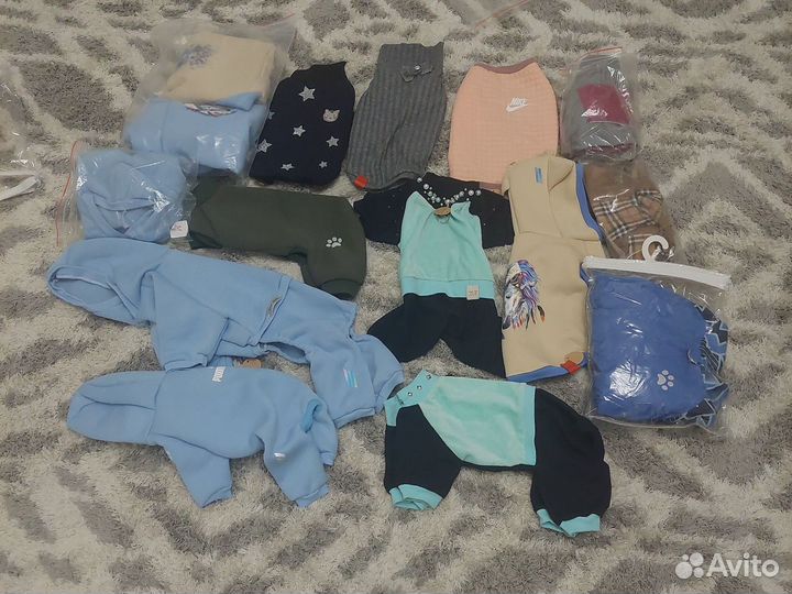 Одежда для маленьких собак