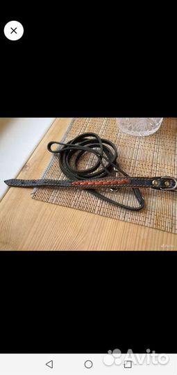 Поводок и ошейник