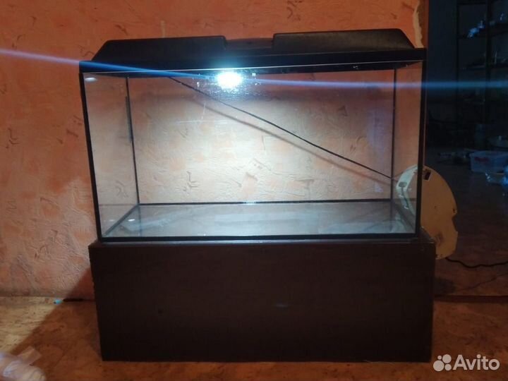 Аквариумные рыбки