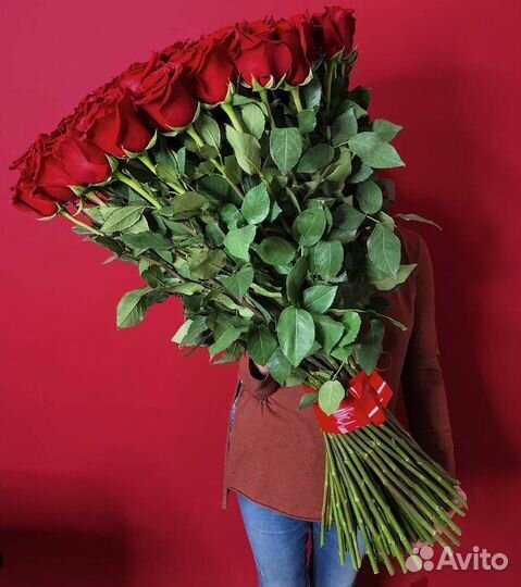 101 роза Эквадор букет доставка