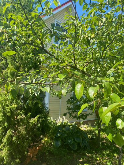 Дача 86 м² на участке 6 сот.