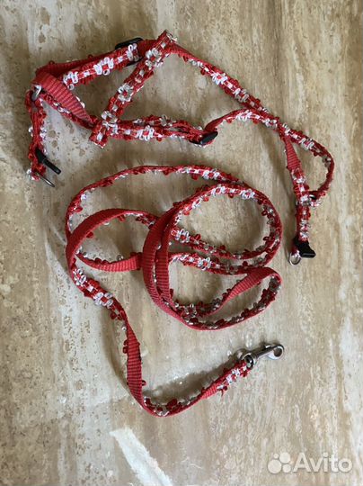 Шлейка и поводок