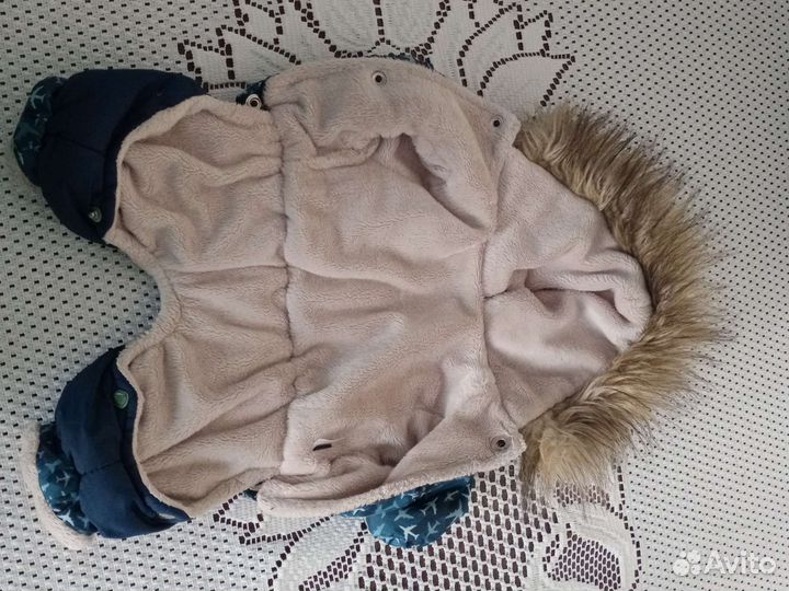 Одежда для собак