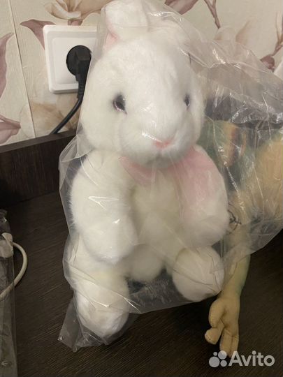 Заяц и пришелец