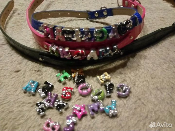Ошейник на маленькую модницу