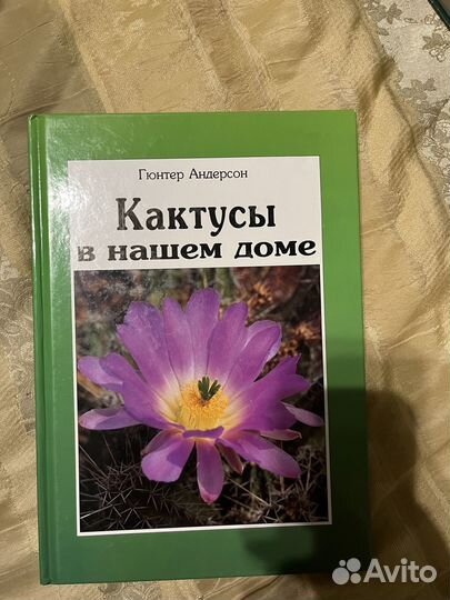 Книга Кактусы в нашем доме