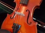 Скрипка Stentor Student ST 4/4 + футляр
