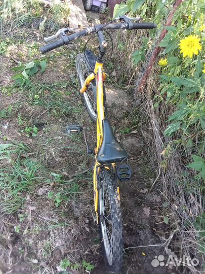 Велосипед forward