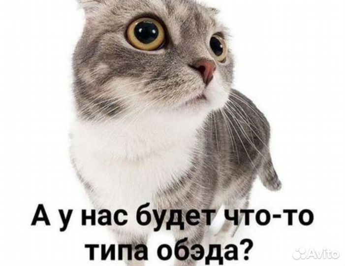 Работа в зале (ночью), любой график