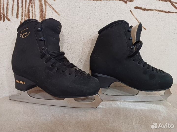Фигурные коньки edea chorus 245