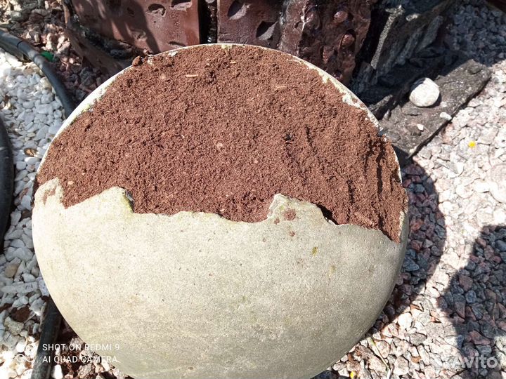 Садовые фигуры шар бетонный декор для сада