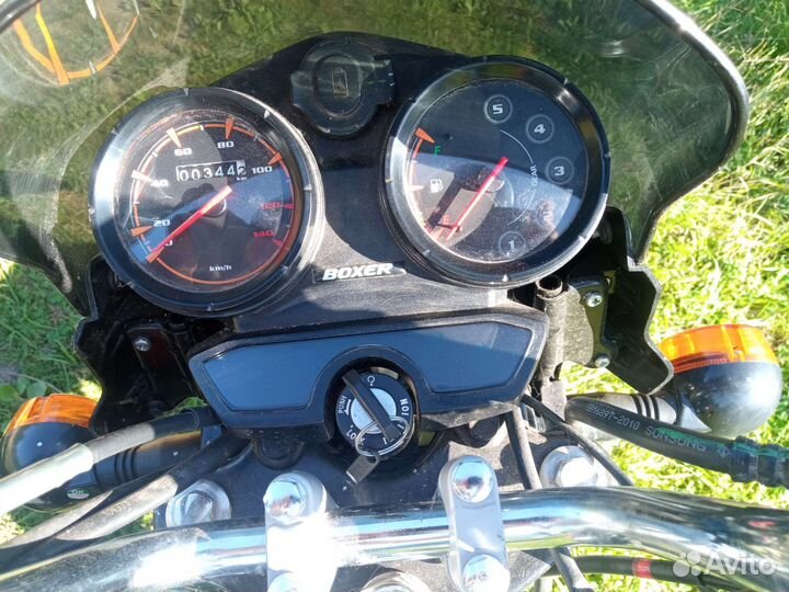 Bajaj boxer 150 disc