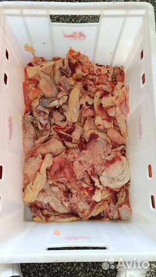 Жир говяжий