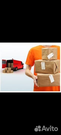 Свой человек в Славгороде