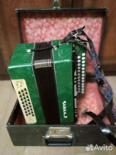 Гармонь чайка