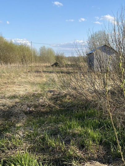 Участок 10 сот. (ИЖС)