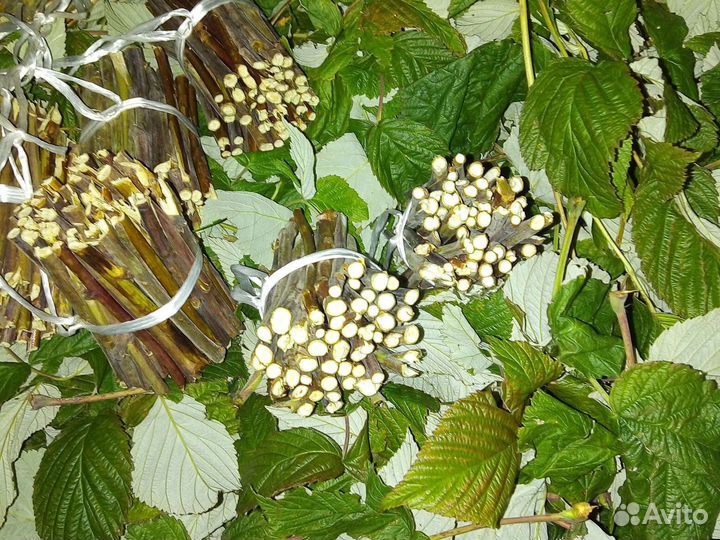 Малиновый чай