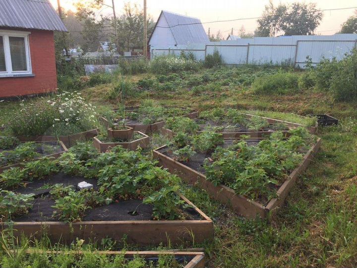 Дача 24 м² на участке 7 сот.