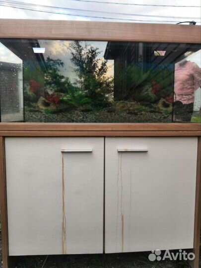Аквариум