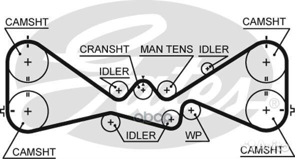 5612XS ремень грм 281x300H Subaru Legacy/Impre