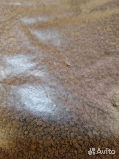 Корма для рыб (Замороженные, сухие)