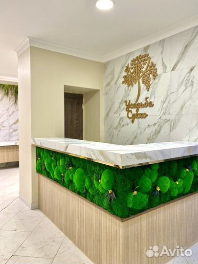 Мох стабилизированный. Ягель. Озеленение. Кочки