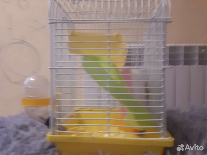Клетка для Хомяков