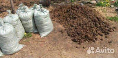 Навоз (без примесей валом )