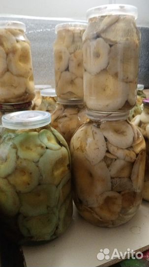 Грибы соленые