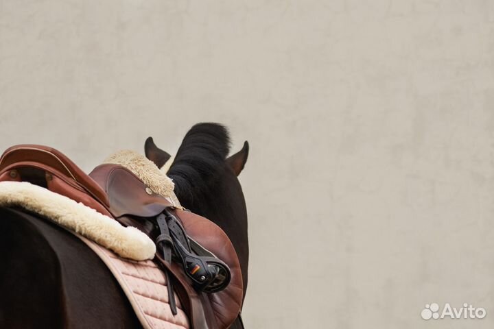 Обучение, занятия верховой ездой