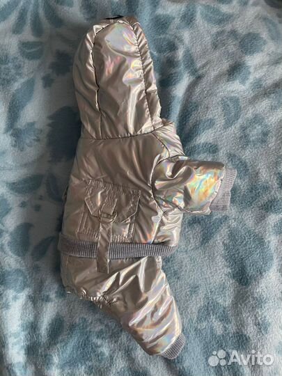 Зимний костюм для собак