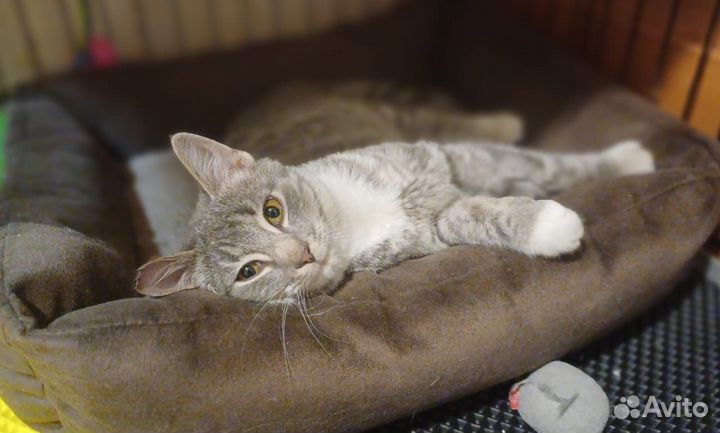 Море нежности