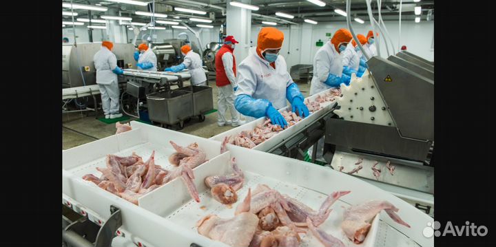 Упаковщица(к) на конвейер. Работа вахтой