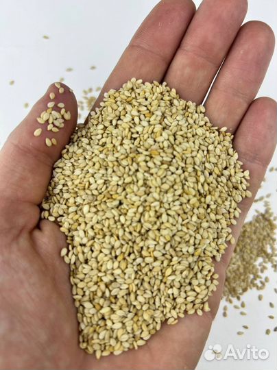 Кунжут белый