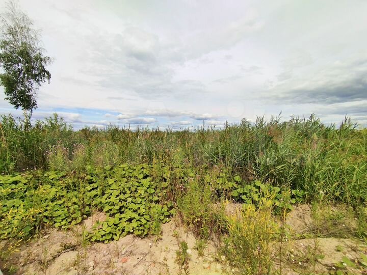 Участок 5 сот. (СНТ, ДНП)