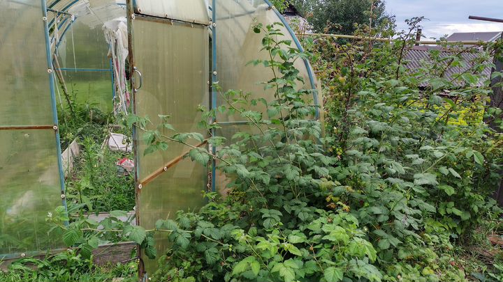 Дом 96 м² на участке 6 сот.