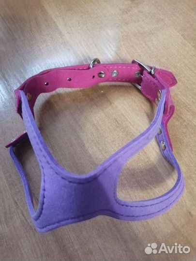 Шлейка для маленькой собаки