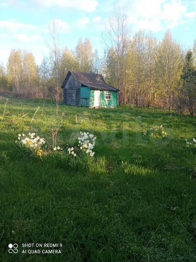 Участок 10 сот. (СНТ, ДНП)